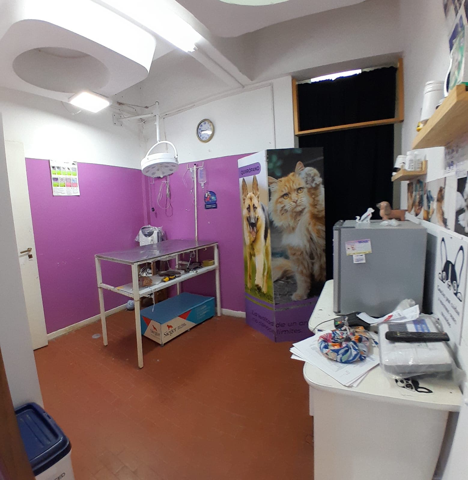 Departamento de  3 Dormitorios en Azul con Local Comercial - 12