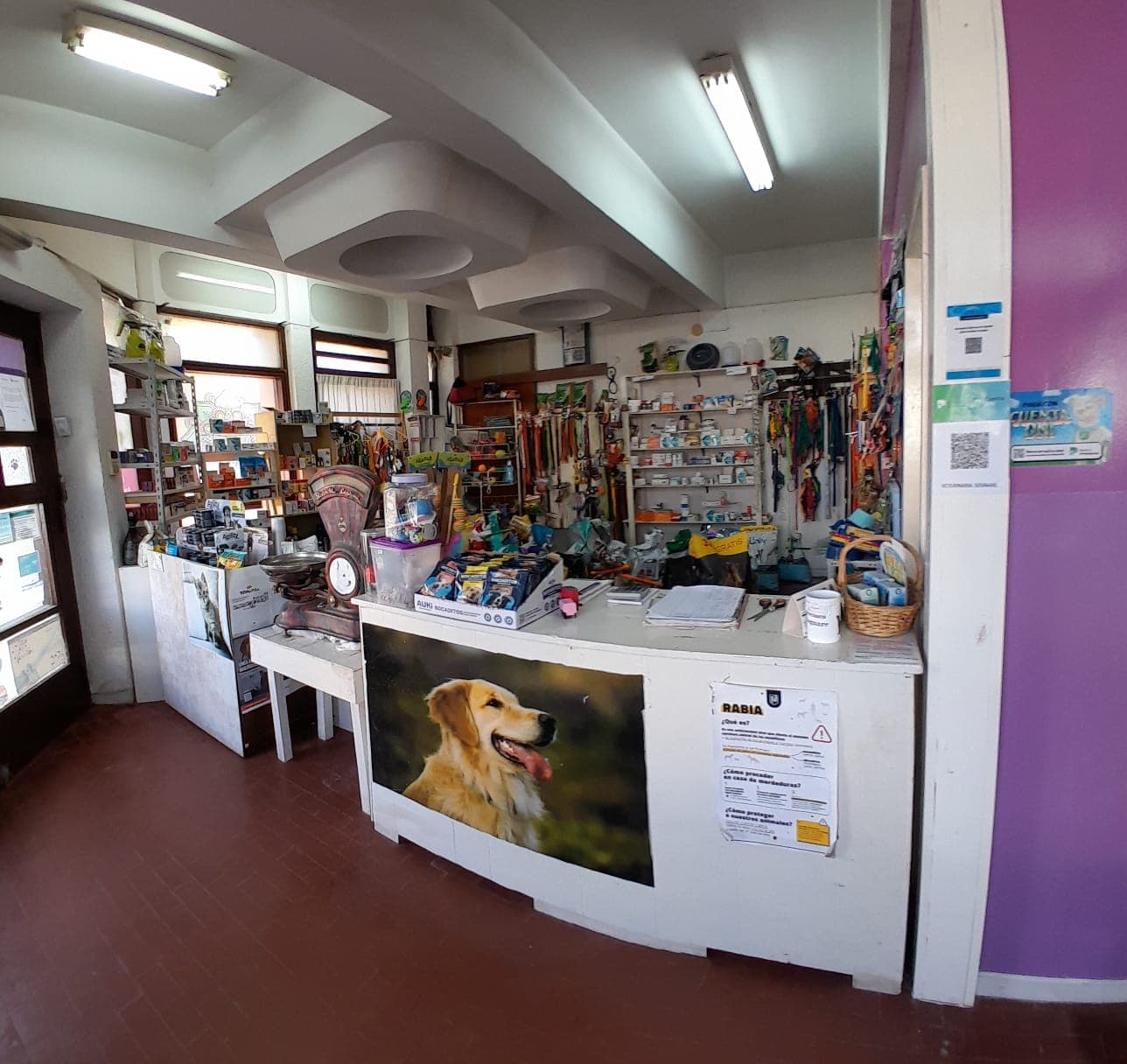 Departamento de  3 Dormitorios en Azul con Local Comercial - 11